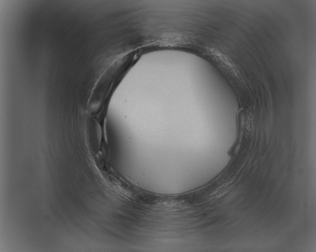 X0000073450540200608181241