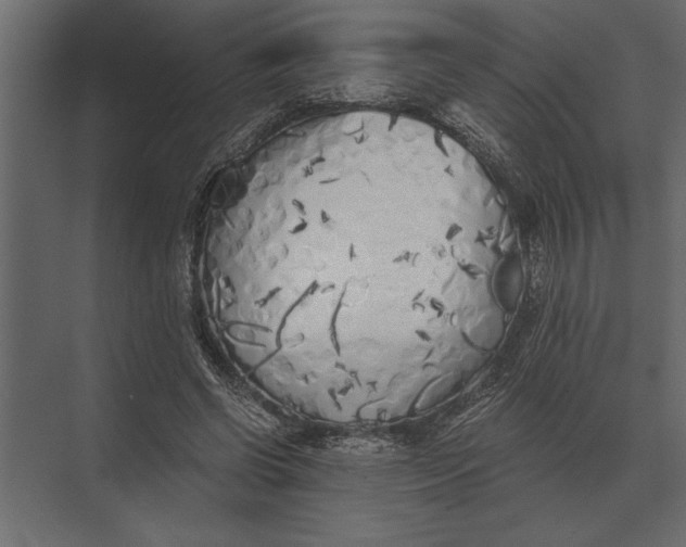 X0000073450542200608181241