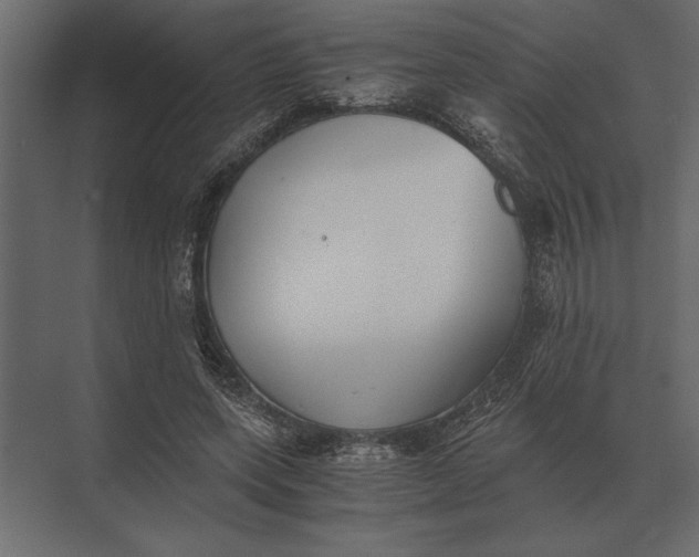 X0000073450543200608181241