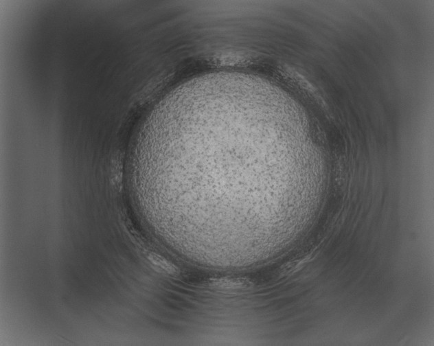 X0000073450545200608181241