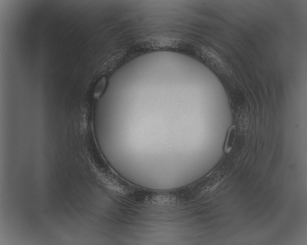 X0000073450546200608181241