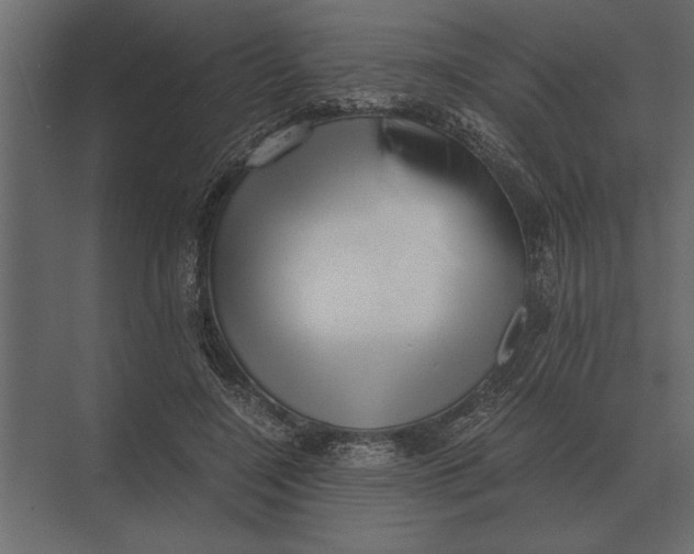 X0000073450548200608181241