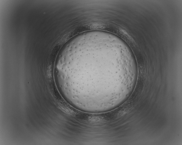 X0000073450549200608181241