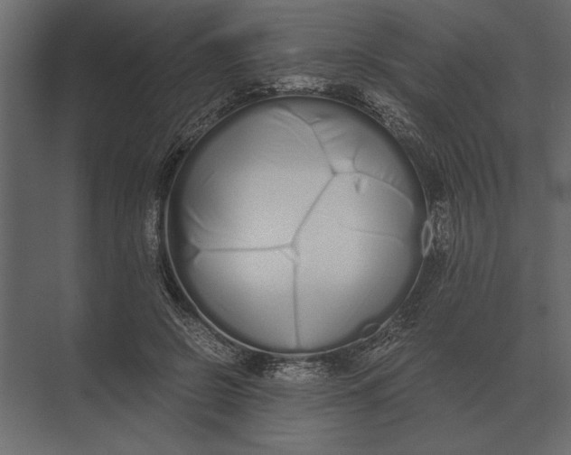 X0000073450550200608181241