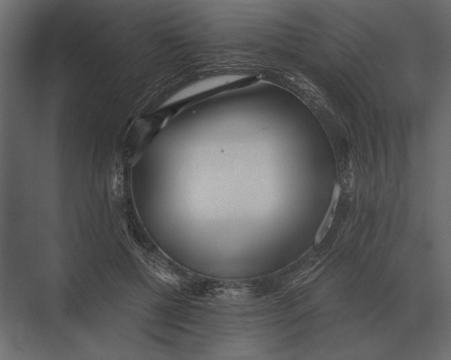 X0000073450552200608181241