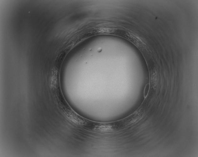 X0000073450554200608181241