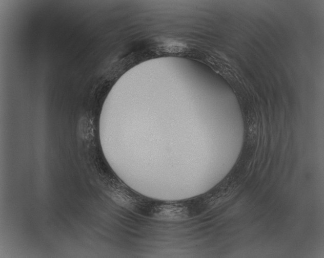 X0000073450555200608181241