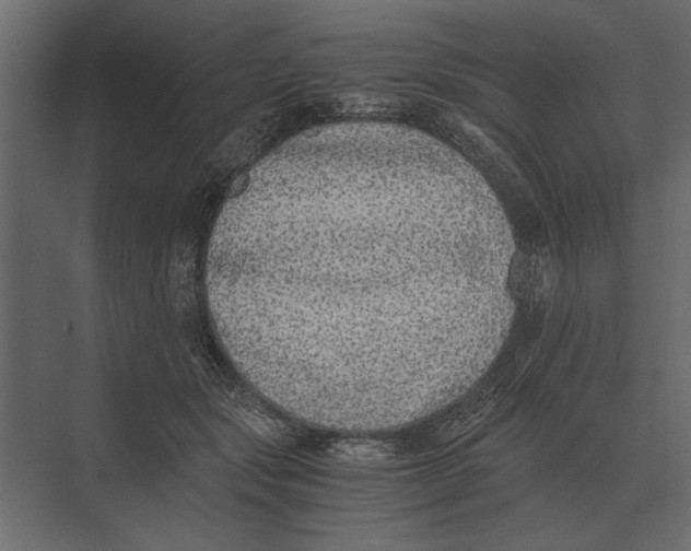 X0000073450557200608181241