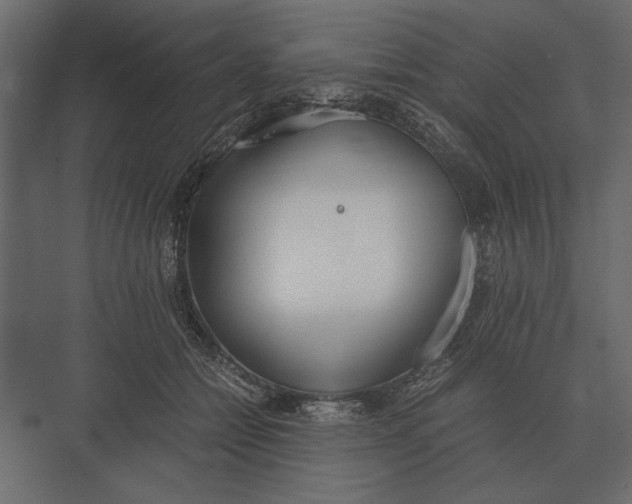 X0000073450558200608181241