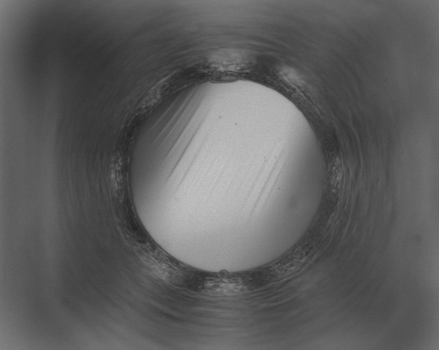 X0000073450559200608181241