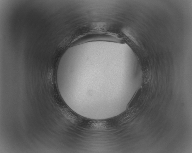 X0000073450560200608181241