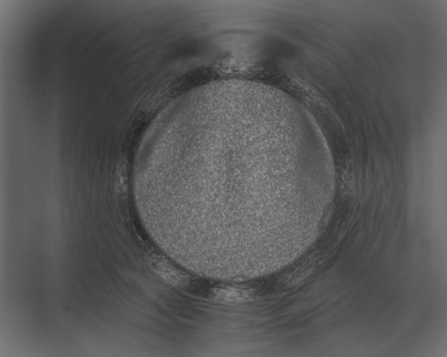 X0000073450561200608181241