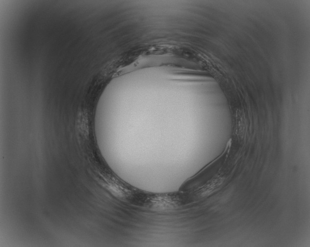 X0000073450562200608181241