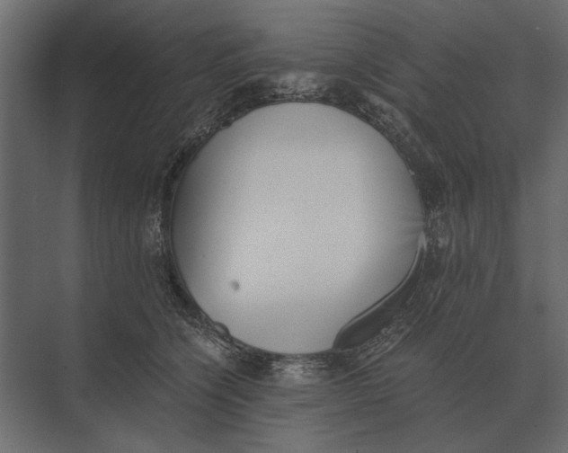 X0000073450564200608181241