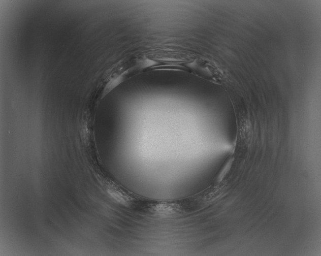 X0000073450566200608181242