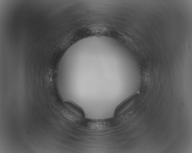 X0000073450567200608181242