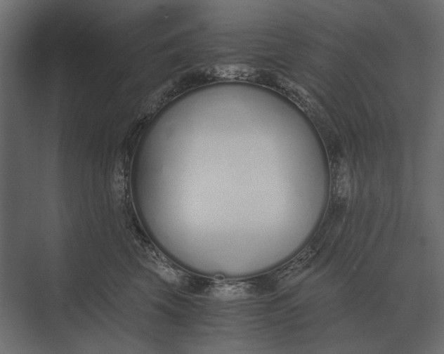 X0000073450569200608181242