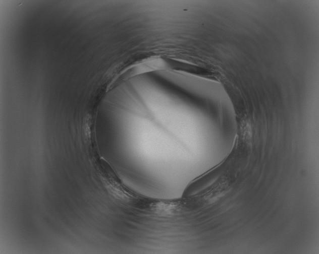 X0000073450570200608181242