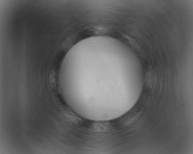 X0000073450571200608181242