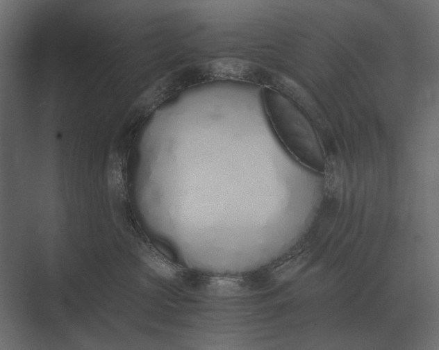 X0000073450573200608181242