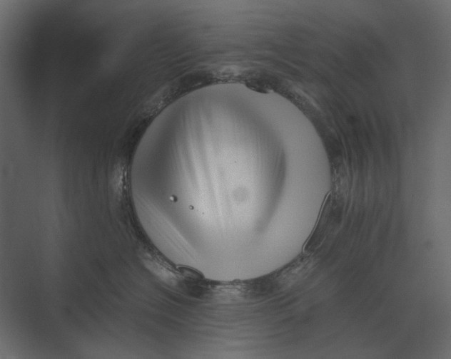 X0000073450574200608181242