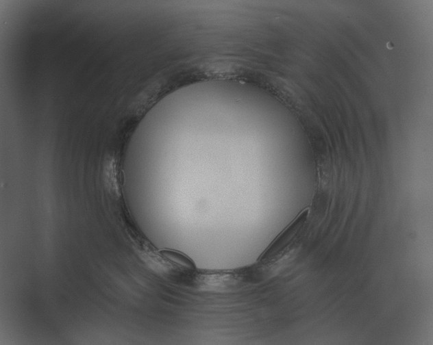 X0000073450575200608181242