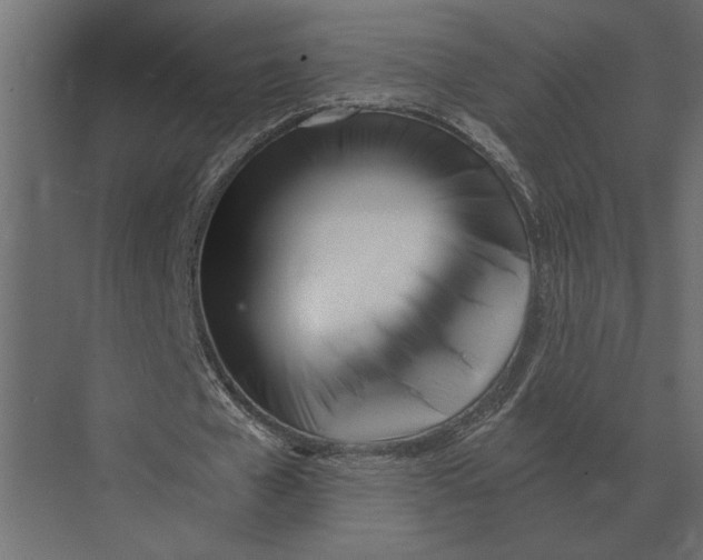 X0000073450577200608181241