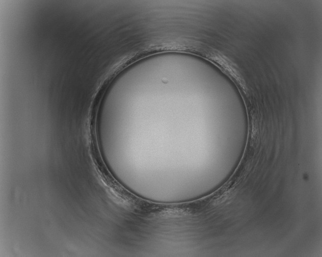 X0000073450578200608181241