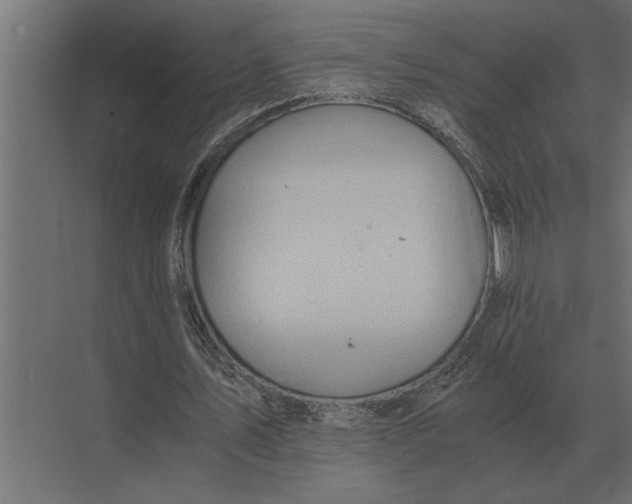 X0000073450579200608181241