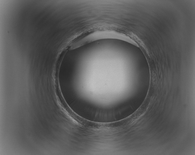 X0000073450581200608181241