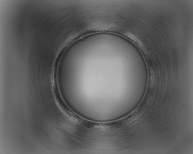 X0000073450582200608181241