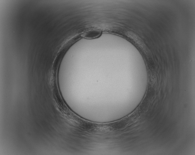 X0000073450583200608181241