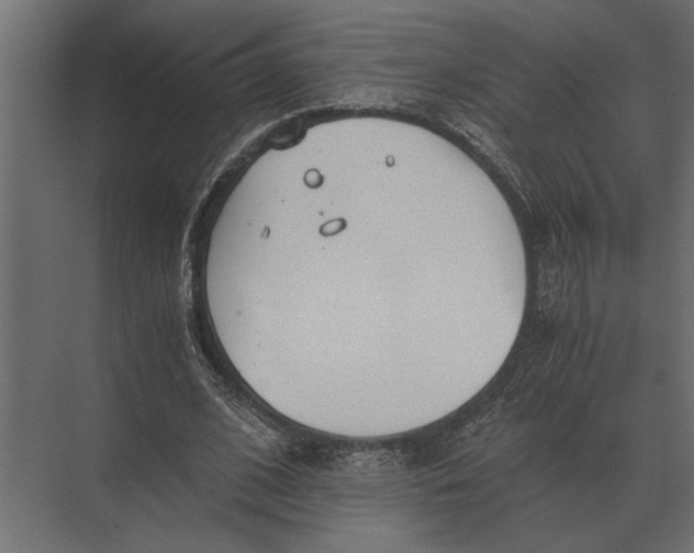 X0000073450584200608181241