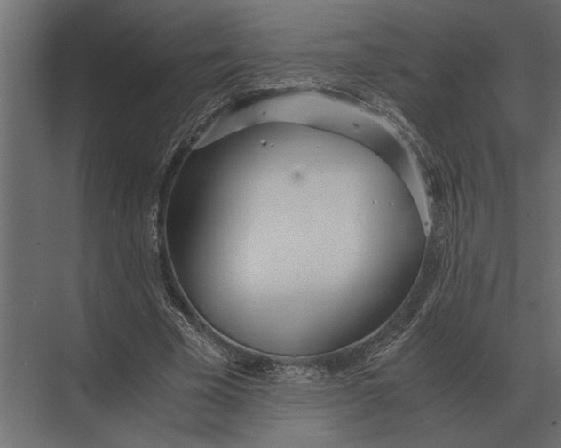 X0000073450585200608181241