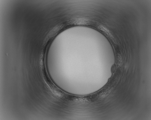 X0000073450586200608181241