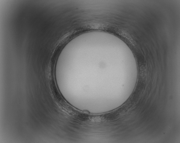 X0000073450587200608181241