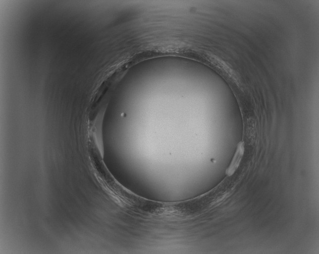 X0000073450589200608181241