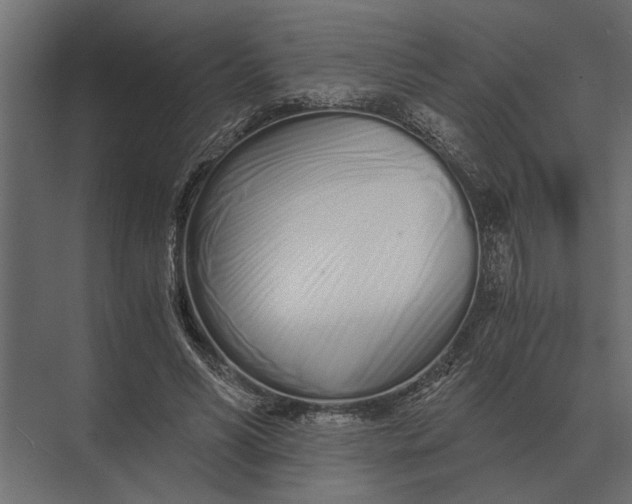 X0000073450590200608181241