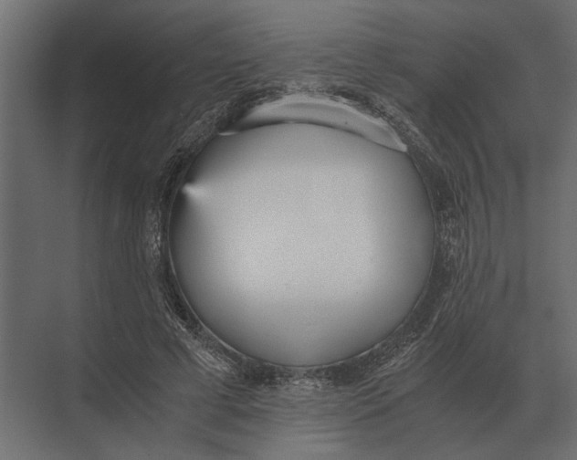 X0000073450593200608181241