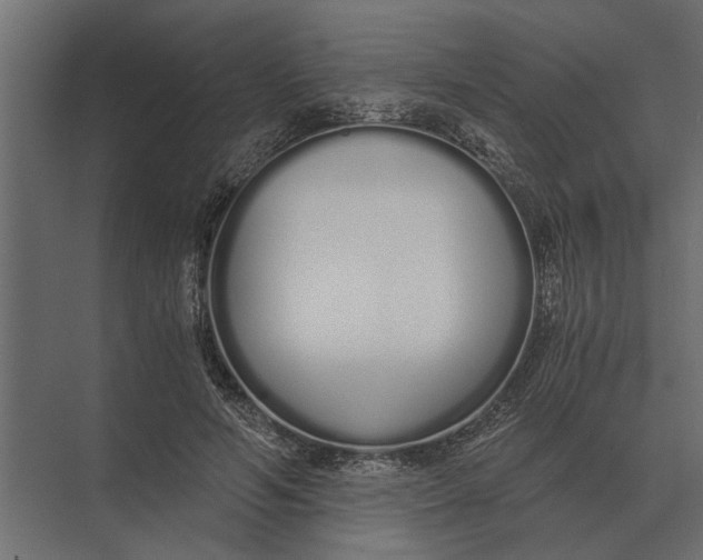 X0000073450594200608181241