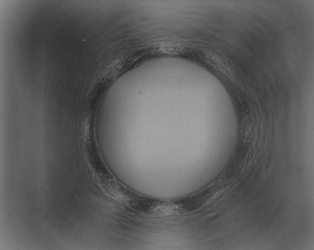 X0000073450595200608181241