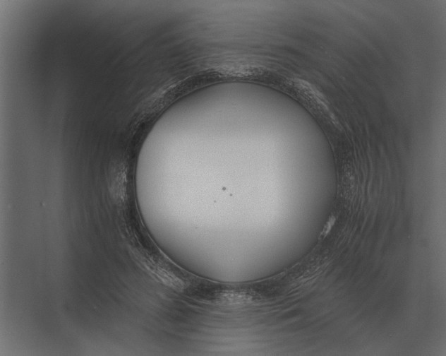 X0000073450596200608181241