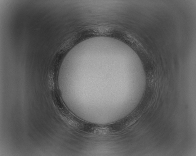 X0000073450599200608181241