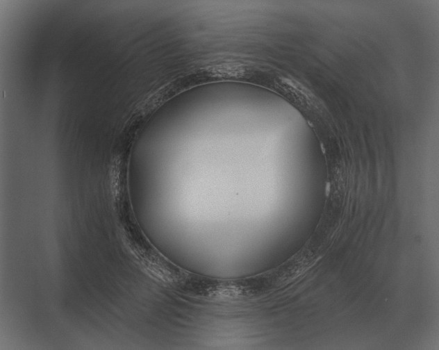 X0000073450600200608181240