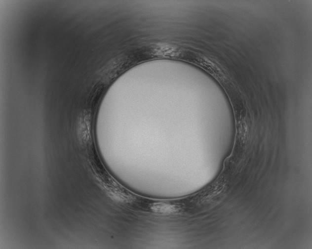 X0000073450602200608181240