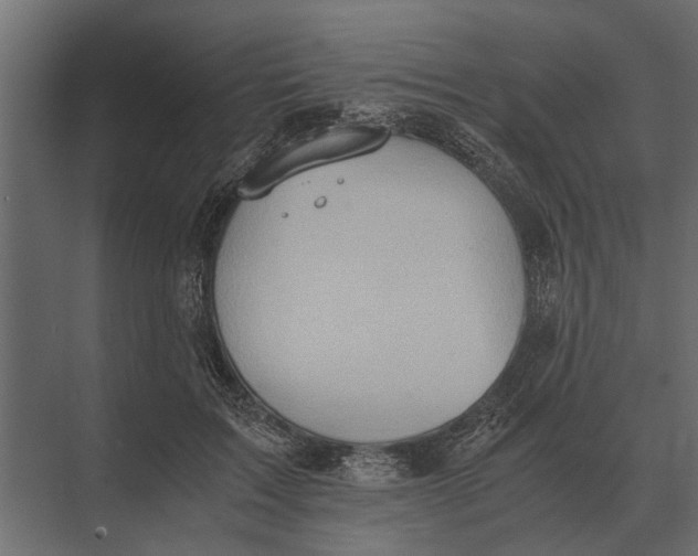 X0000073450603200608181240