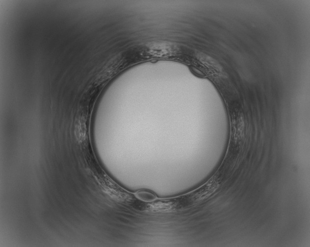 X0000073450606200608181240