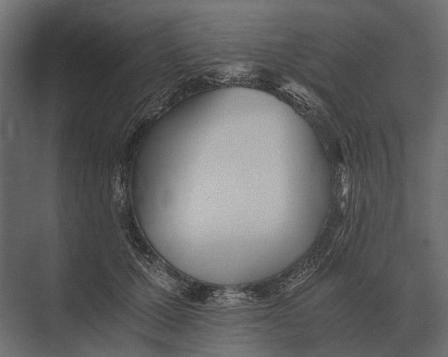 X0000073450607200608181240