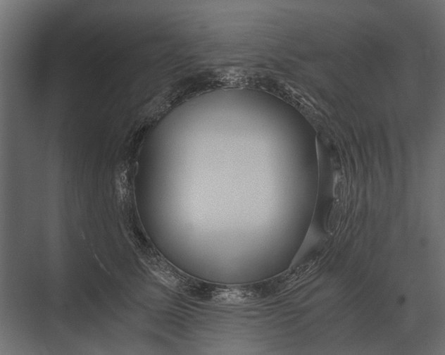 X0000073450611200608181240