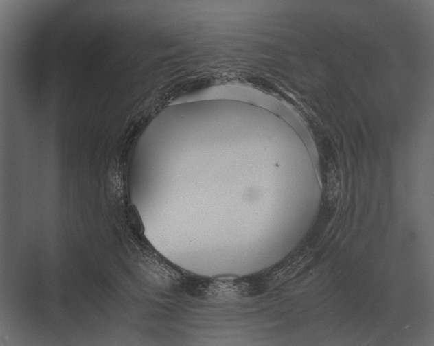 X0000073450613200608181240